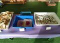 mercadillo-solidario-juan-morejon-beneficio-autismo-ceuta
