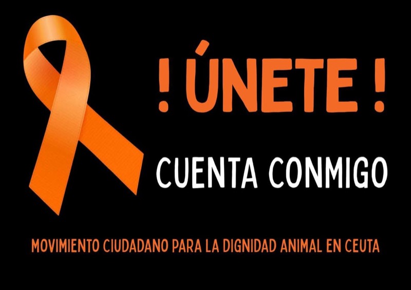 nos-une-color-naranja-003