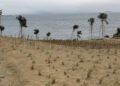 obras-parque-santa-catalina-listas-mayo-002