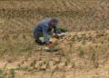 obras-parque-santa-catalina-listas-mayo-003