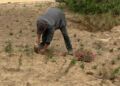 obras-parque-santa-catalina-listas-mayo-004
