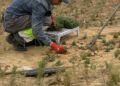obras-parque-santa-catalina-listas-mayo-005