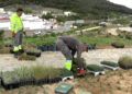 obras-parque-santa-catalina-listas-mayo-006