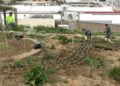 obras-parque-santa-catalina-listas-mayo-013
