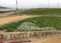 obras-parque-santa-catalina-listas-mayo-017