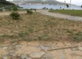 obras-parque-santa-catalina-listas-mayo-021