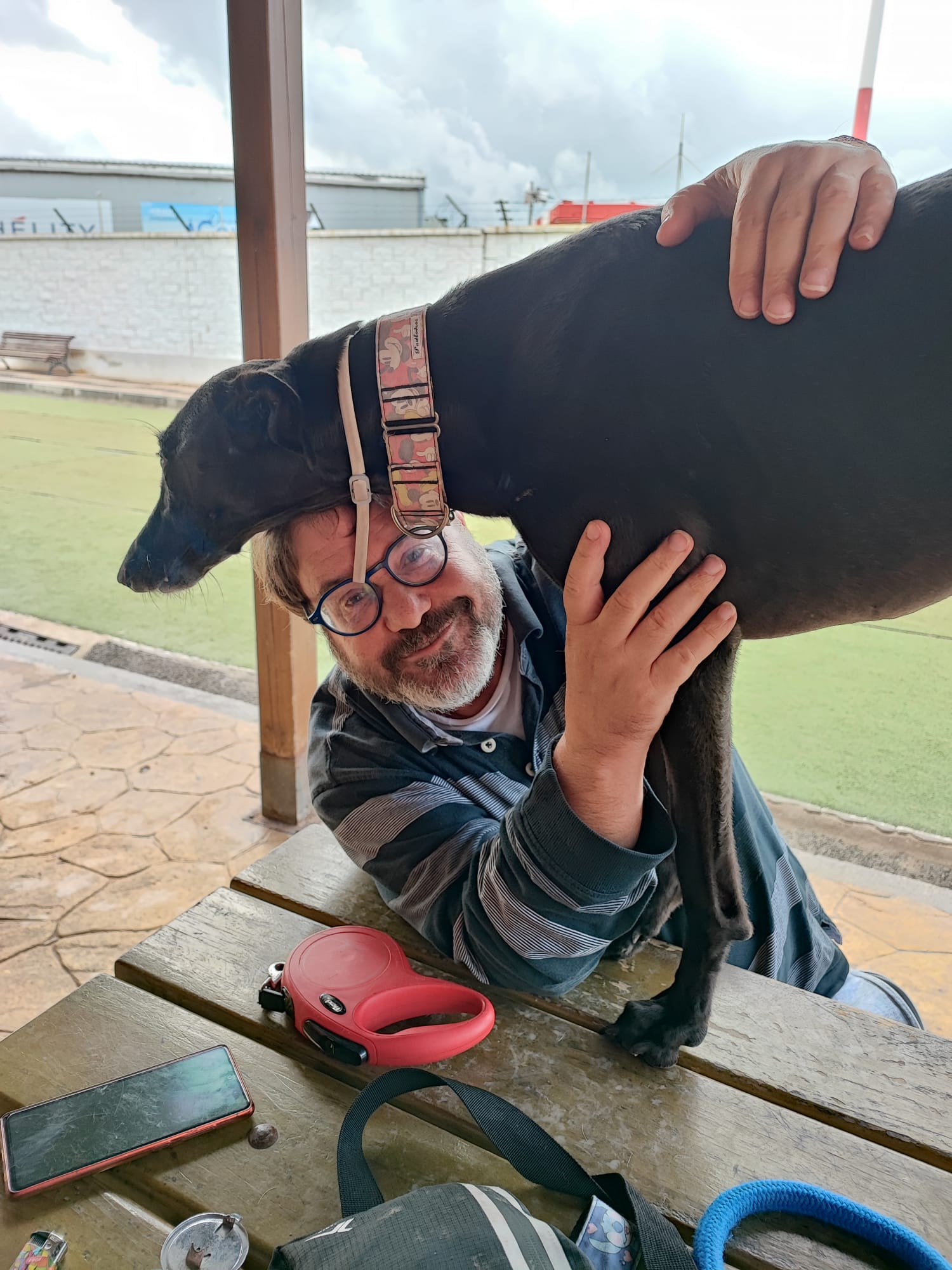 opinion-perros-gatos-van-cielo-1