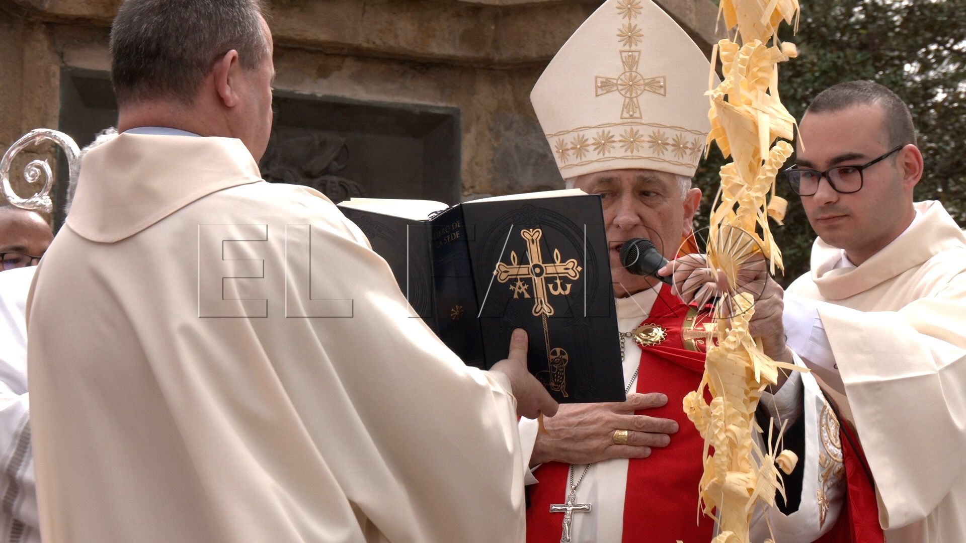 palmas-ramas-olivo-bendecidas-bienvenida-semana-santa-ceuta-2025-17