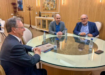 perez-triano-secretario-general-psoe-reunion-vivas-2