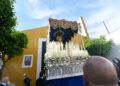pollinica-semana-santa-2025-49