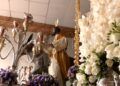 todo-listo-salida-pollinica-semana-santa-2025-9