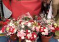 una-ofrenda-floral-honor-san-agustin
