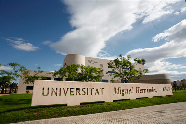 universidad-miguel-hernandez-elche-alicante