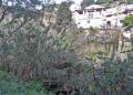 vecinos-barriada-arroyo-infierno-abandono-4