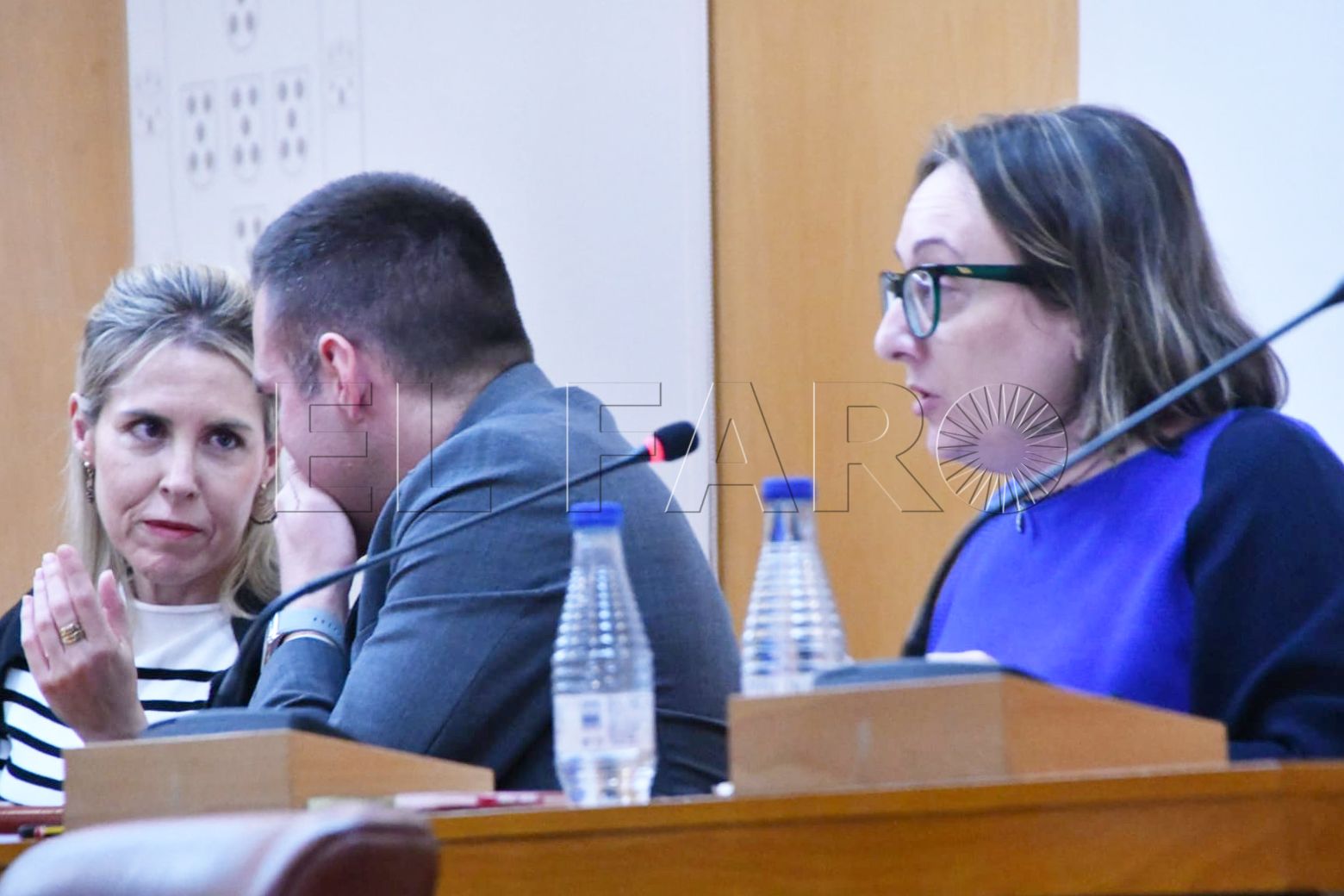 verdejo-vox-pleno-30-abril-2025-1