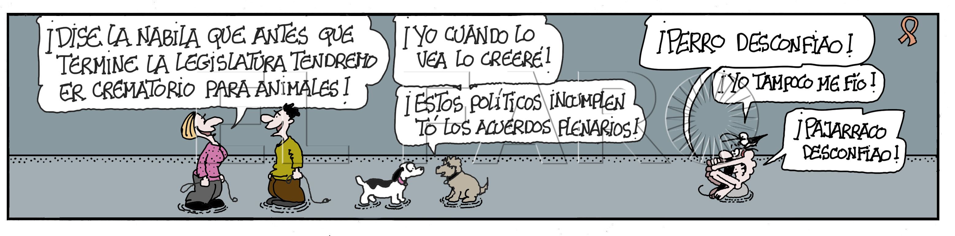 viñeta-2-mayo-2025