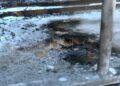 abdellah-heroe-incendio-juan-i-portugal-012