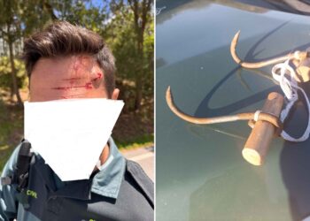 augc-pide-refuerzos-agresion-guardia-civil-valla-4