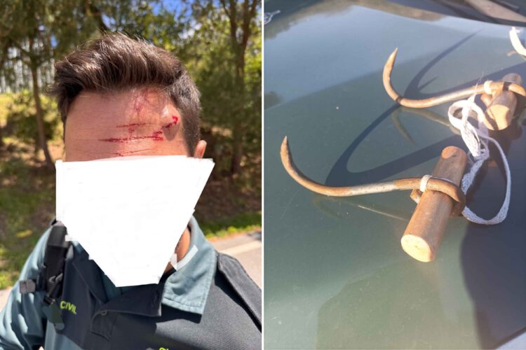 augc-pide-refuerzos-agresion-guardia-civil-valla-4