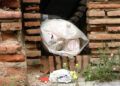 basura-murallas-reales-10