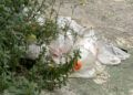 basura-murallas-reales-11