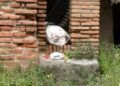 basura-murallas-reales-2