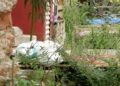 basura-murallas-reales-6