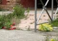 basura-murallas-reales-9