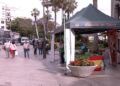 cuestación-anual-cáncer-2025-aecc