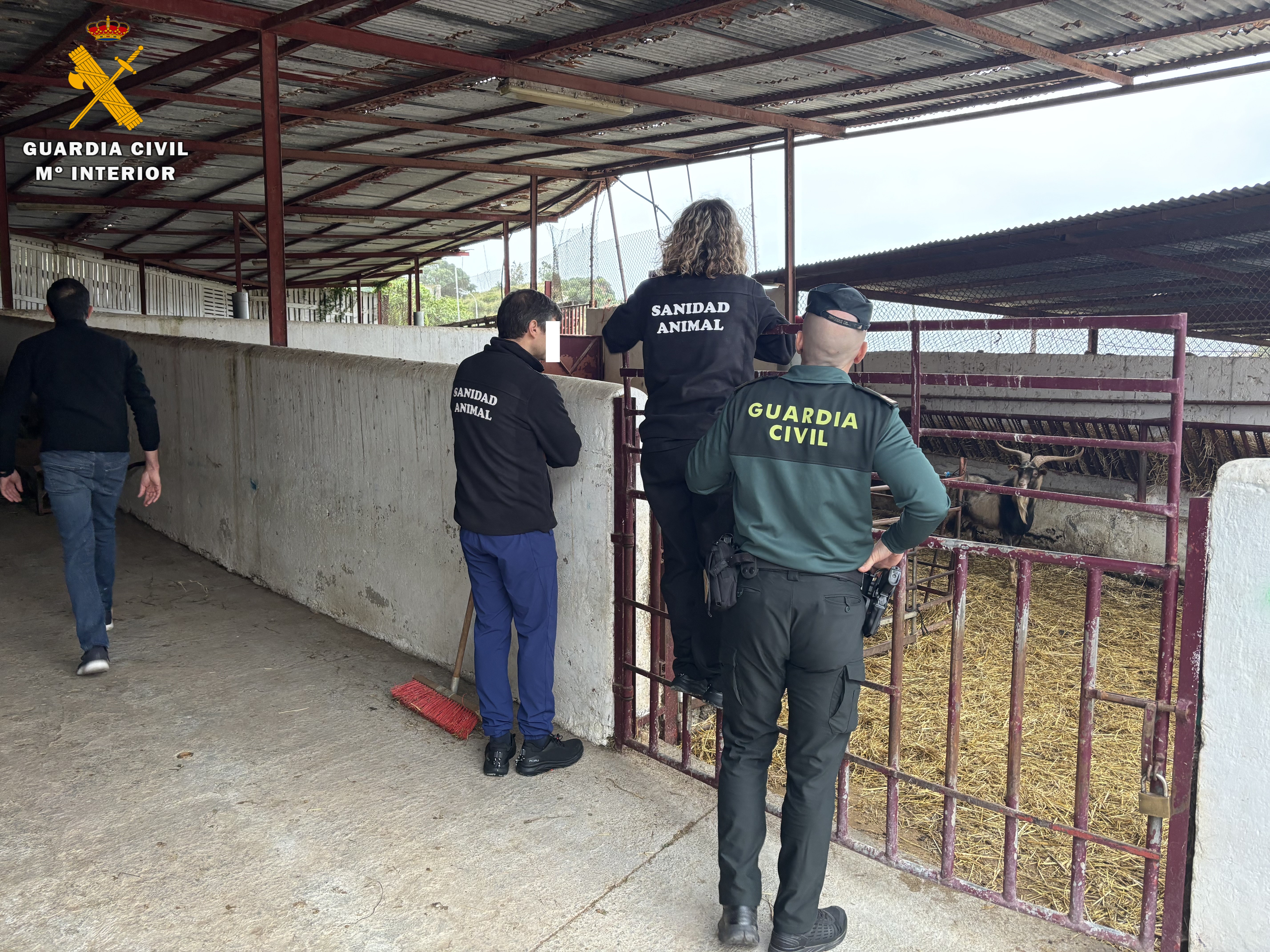 eprona-guardia-civil-lucha-medio-ambiente-maltrato-animal-2