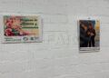 exposicion-apascide-biblioteca009
