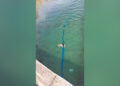 menores-tiran-agua-puente-caballa-3