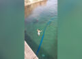 menores-tiran-agua-puente-caballa-6