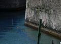 navegacion-foso-se-recupera-dragado-10