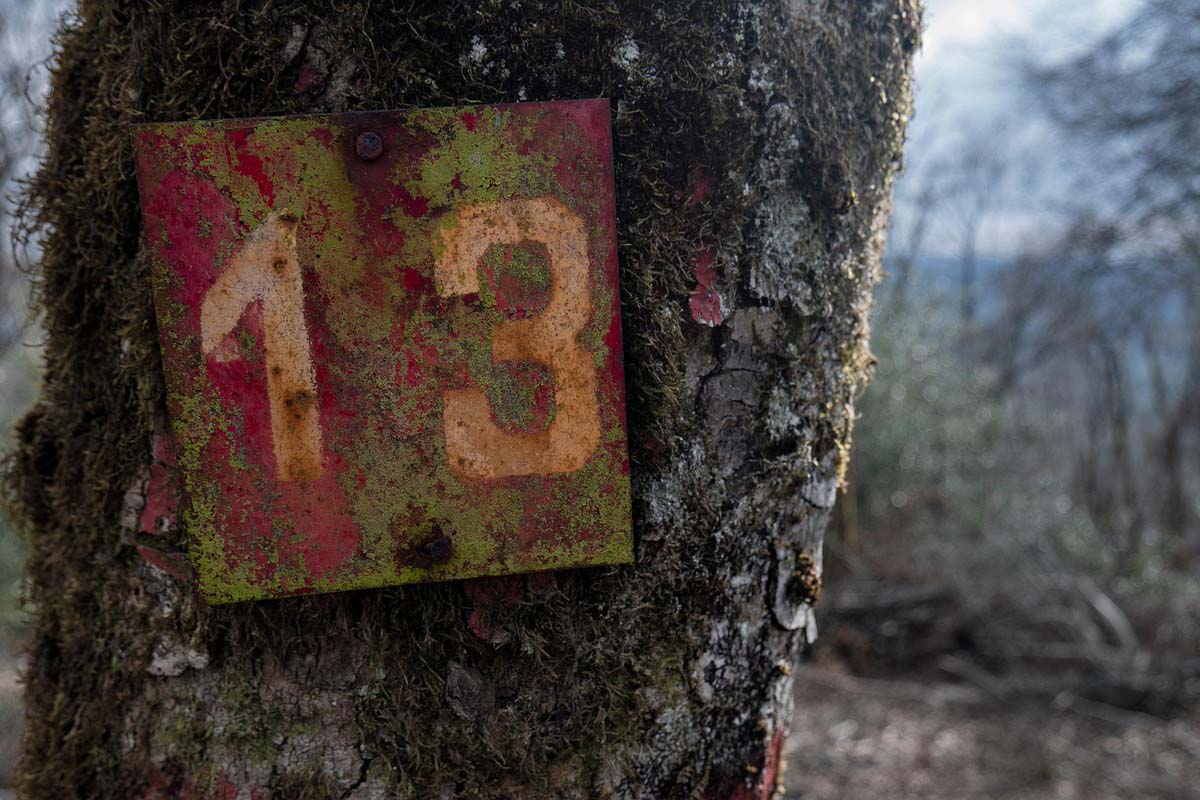 ni-te-cases-ni-te-embarques-martes-13