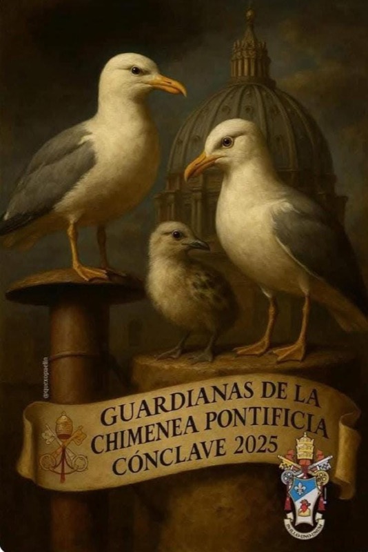 reflexion-necesaria-respeto-vida-silvestre-epoca-cria-002