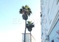 santiago-apostol-barriada-decadencia-005
