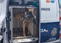 usuarios-plena-inclusion-conocen-perros-unidad-canina-policia-nacional-1