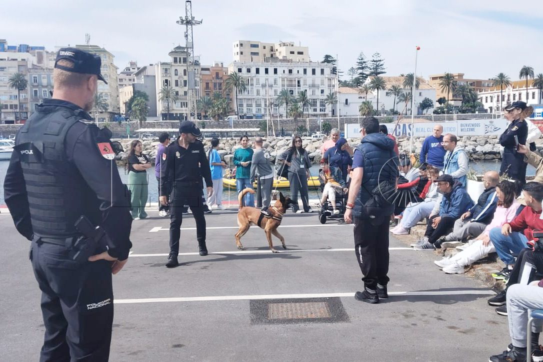 usuarios-plena-inclusion-conocen-perros-unidad-canina-policia-nacional-11