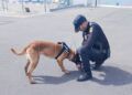 usuarios-plena-inclusion-conocen-perros-unidad-canina-policia-nacional-15