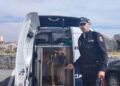 usuarios-plena-inclusion-conocen-perros-unidad-canina-policia-nacional-3