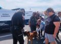 usuarios-plena-inclusion-conocen-perros-unidad-canina-policia-nacional-7