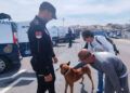 usuarios-plena-inclusion-conocen-perros-unidad-canina-policia-nacional-8