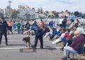 usuarios-plena-inclusion-conocen-perros-unidad-canina-policia-nacional-9