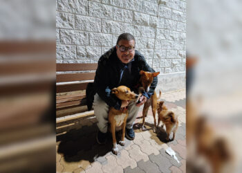 verano-ceuta-perritos-calientes