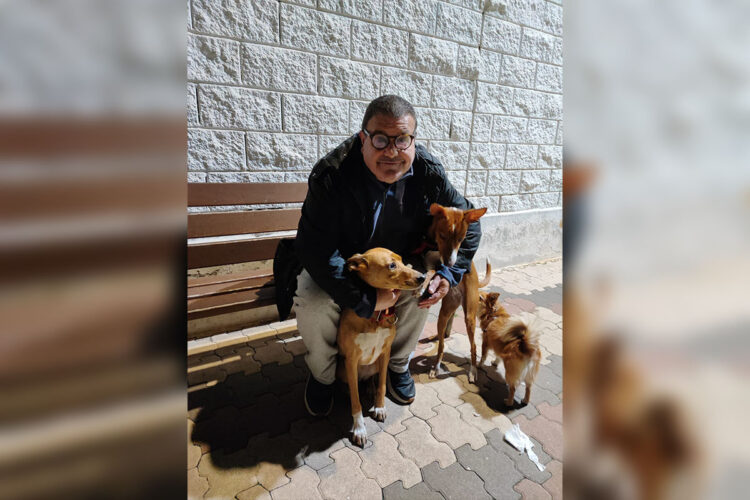 verano-ceuta-perritos-calientes